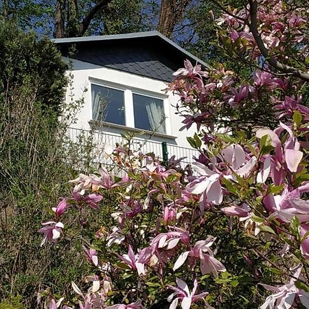 Das Ferienhaus Mit Aussicht 피르나 외부 사진