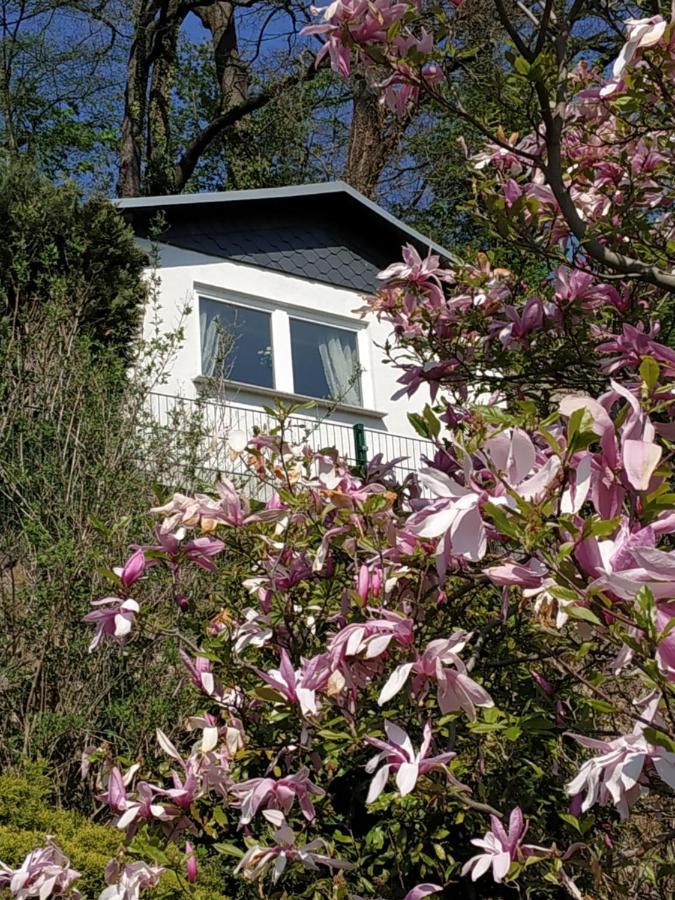 Das Ferienhaus Mit Aussicht 피르나 외부 사진